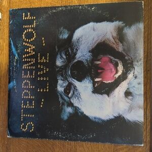 Steppenwolf live two record set